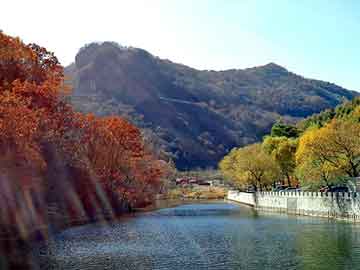澳門(mén)4949彩論壇高手，為什么最近奇瑞大優(yōu)惠無(wú)線(xiàn)網(wǎng)卡軟件版79.71.54